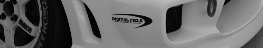 DIGITALFIELD BLOG header image 2